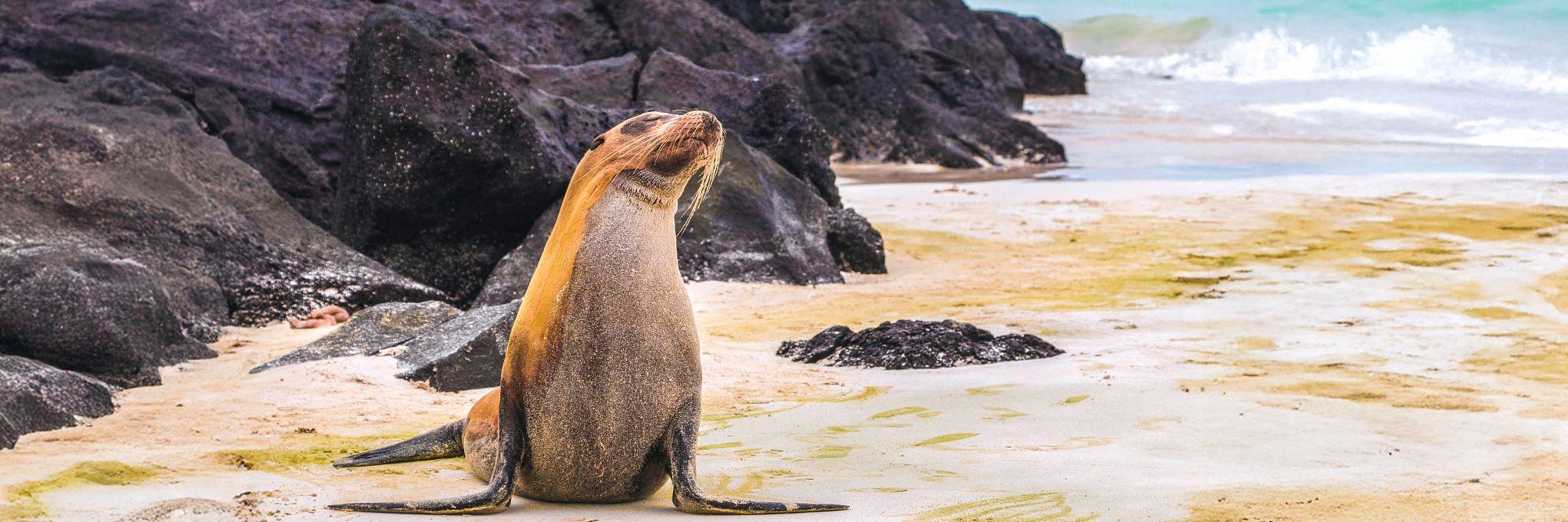 Yacht Life Meets Wildlife in the Galápagos Islands